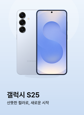 갤럭시 S25